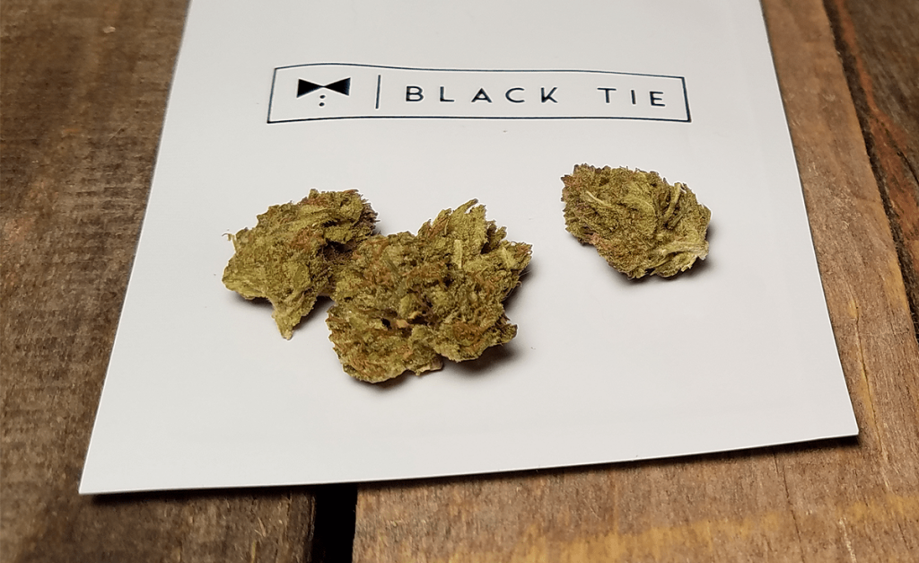 Black Tie - BlueBerry Pie Hemp Flower Review