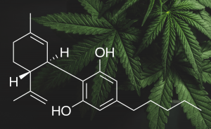 What is CBD?