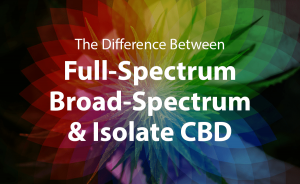 Difference Between Full-Spectrum, Broad Spectrum, and Isolate CBD