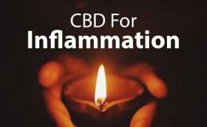 CBD For Inflammation