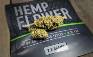 Game Up Nutrition Hawaiian Haze CBD Flower Review