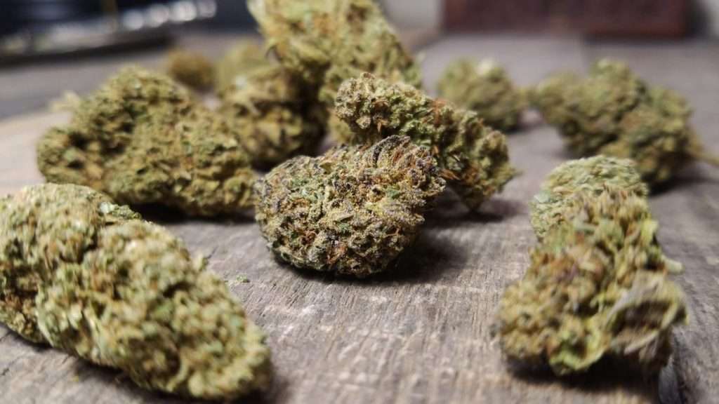 Best CBD Flower