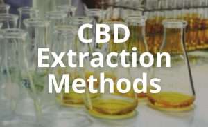 CBD Extraction Methods