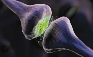 What are cannabinoids? Illustration of cannabinoid receptors exchanging cannabinoids.