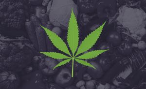 What Are Flavonoids?