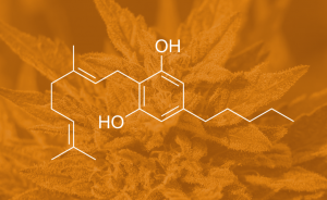 What is CBG? CBG molecule on top of an orange background of a cannabis bud.