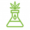 Extraction Process